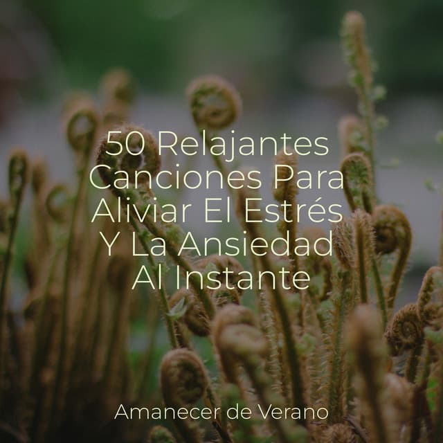 50 Relajantes Canciones Para Aliviar El Estrés Y La Ansiedad Al Instante - Calm Music for Studying