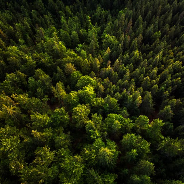 My Home - Entspannings und Schlaf Musik