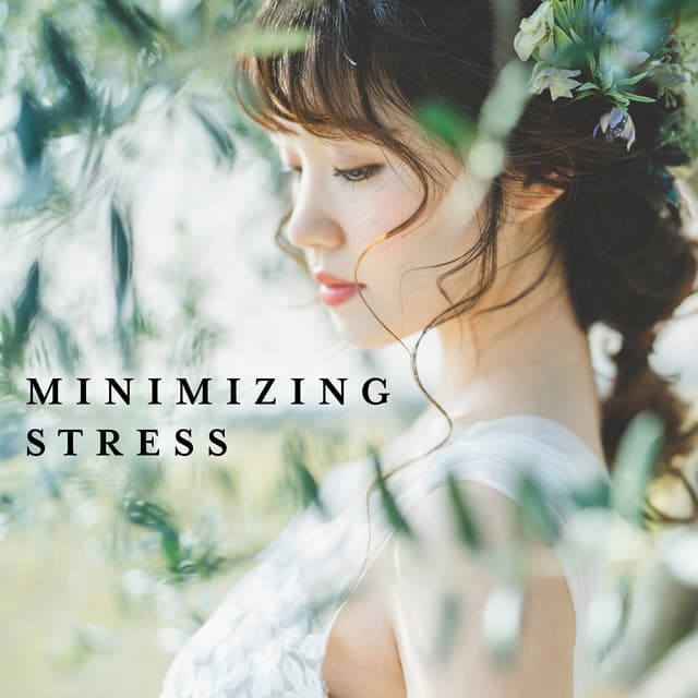 Minimizing Stress: Relaxation Sounds for Calmness, Harmony & Stress Management - Relaxation Meditation Songs Divine
