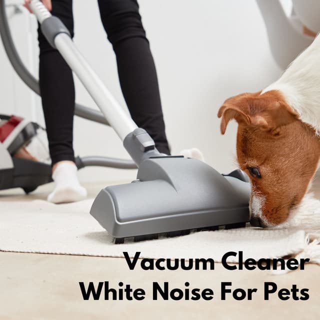Vacuum Cleaner White Noise for Pets Vol. 2 - Dog Music Jukebox