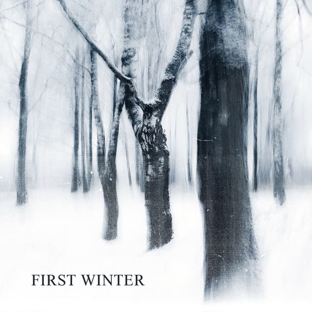 First Winter - Lonely Ambition