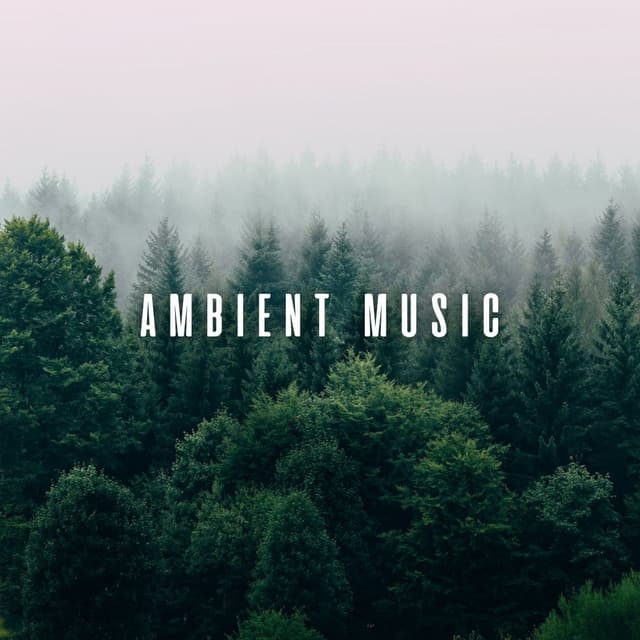 Ambient Music: Chill Bird Serenade for Therapeutic Massage - Lights From A Distance