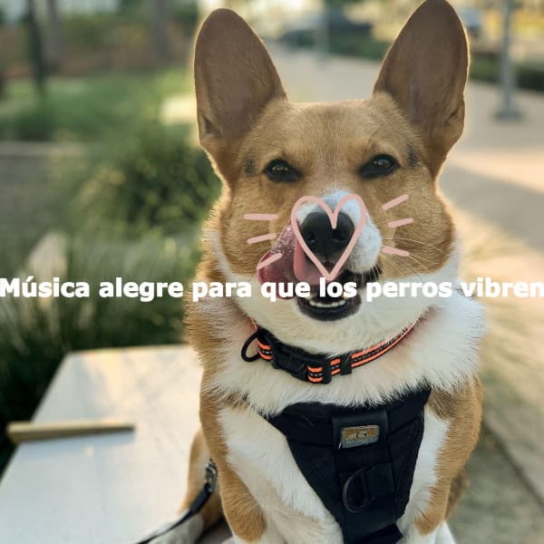 Música alegre para que los perros vibren - Easy Jazz Listening