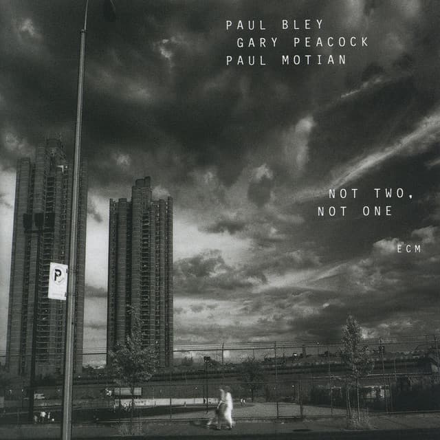 Not Two, Not One - Paul Bley