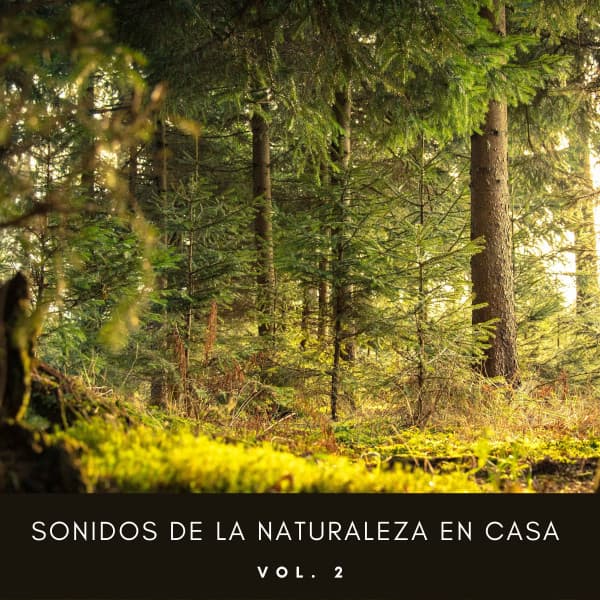 Los paisajes sonoros de la naturaleza