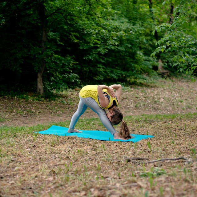 Rainy Yoga Sanctuary: Chill Music for Mind-Body Connection - Rain Soundzzz Club