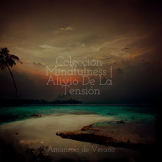 Colección Mindfulness | Alivio De La Tensión - Guided Meditation
