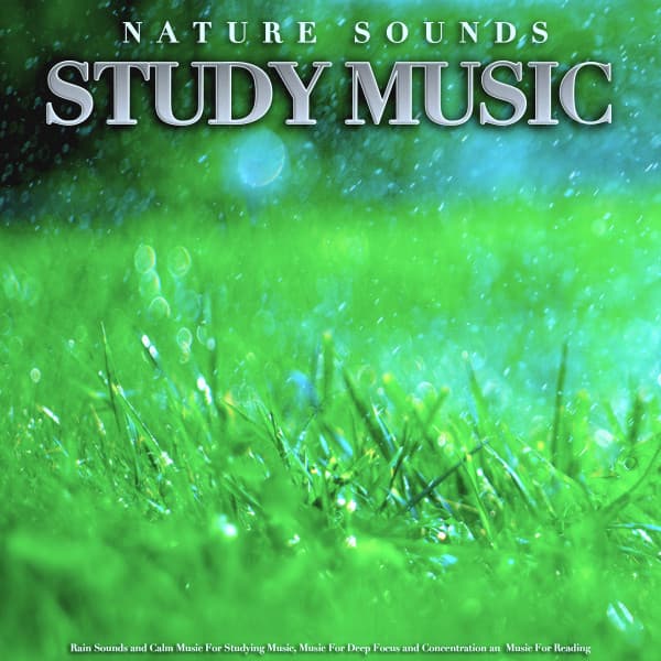 Nature Sounds Study Music: Rain Sounds and Calm Music For Studying Music, Music For Deep Focus and Concentration an Music For Reading - Study Music & Sounds