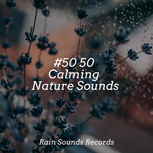 #50 50 Calming Nature Sounds - Nature Sounds