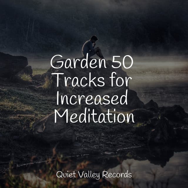 Garden 50 Tracks for Increased Meditation - Sounds of Nature Relaxation