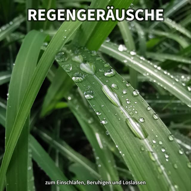 Regengeräusche zum Einschlafen, Beruhigen und Loslassen - Regengeräusche
