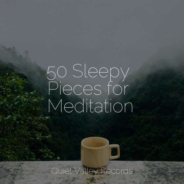 50 Sleepy Pieces for Meditation - Meditação Maestro