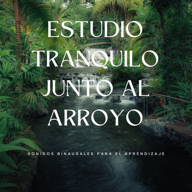Estudio Tranquilo Junto Al Arroyo: Sonidos Binaurales Para El Aprendizaje - Latidos binaurales para estudiar