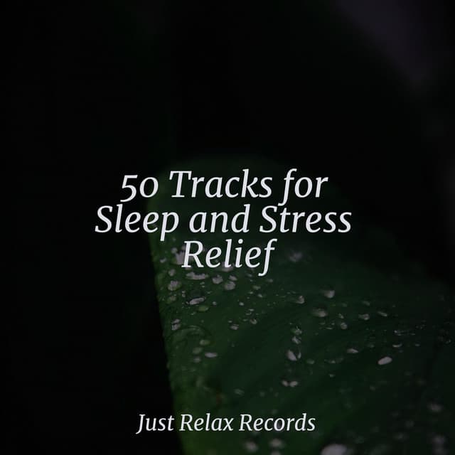 50 Tracks for Sleep and Stress Relief - Música Para Meditar y Relajarse