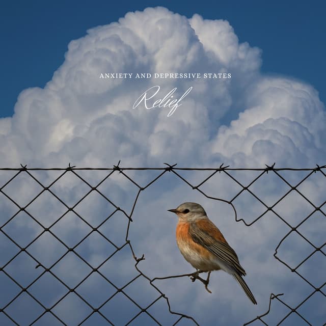 Anxiety and Depressive States Relief - Gary Winter