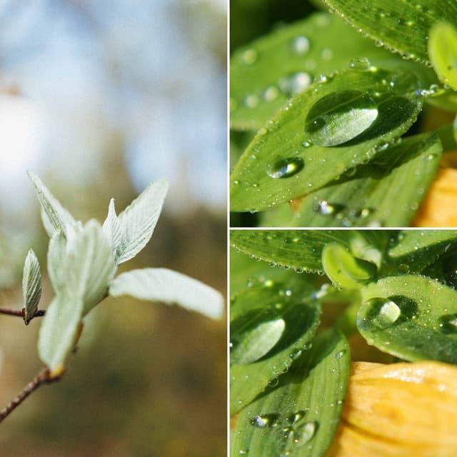 Excellent Bebop - Background for Windy Morning - Refreshing Tracks