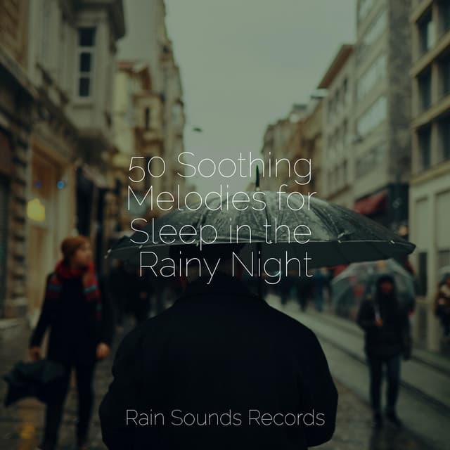 50 Soothing Melodies for Sleep in the Rainy Night - Anxiety Relief