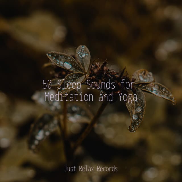 50 Sleep Sounds for Meditation and Yoga - Chinese Relaxation and Meditation