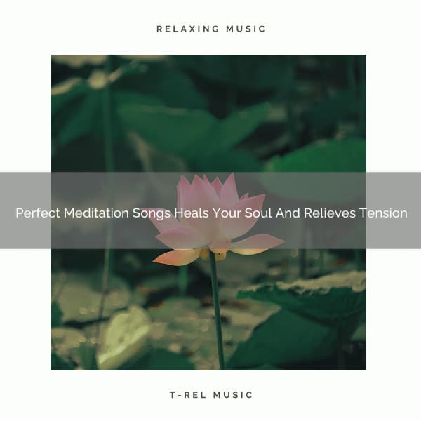Perfect Meditation Songs Heals Your Soul And Relieves Tension - Sanctuary Of Relax