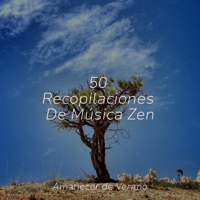 50 Recopilaciones De Música Zen - Sonidos De Lluvia y Tormentas
