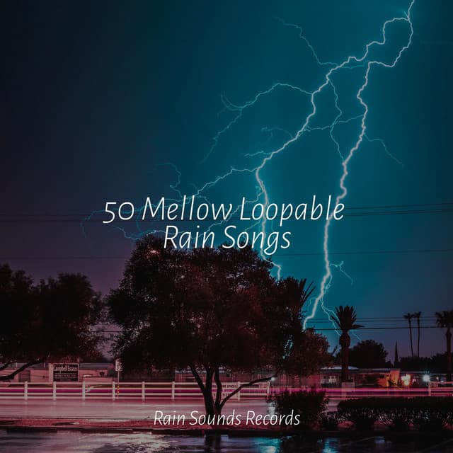 50 Mellow Loopable Rain Songs - Sounds Of Nature : Thunderstorm, Rain