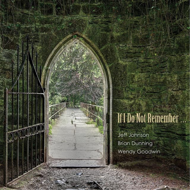 If I Do Not Remember... - Jeff Johnson