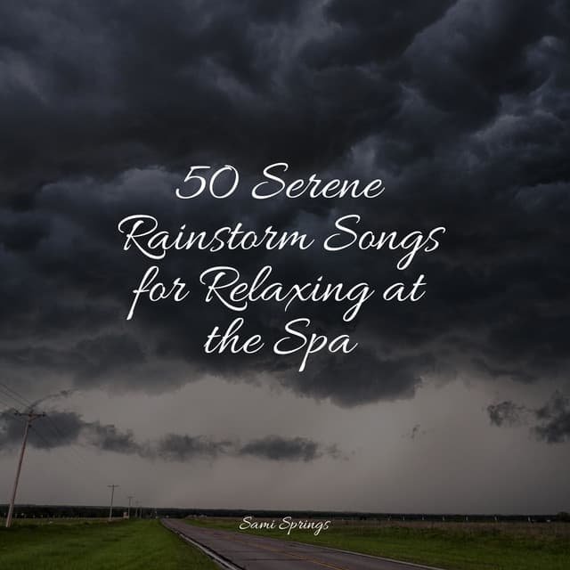 50 Serene Rainstorm Songs for Relaxing at the Spa - Sleep Rain