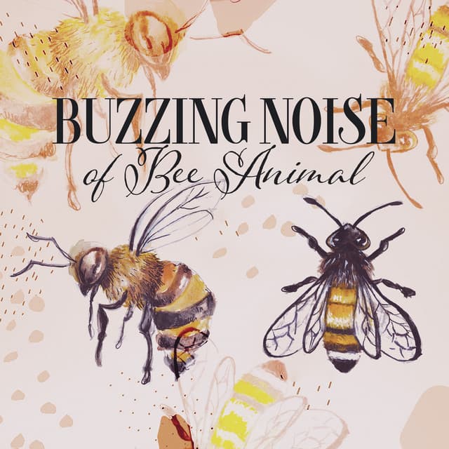 Buzzing Noise of Bee Animal: 15 Track of Nature Sounds Effect, Flying Bee - Sound Effects Music Set