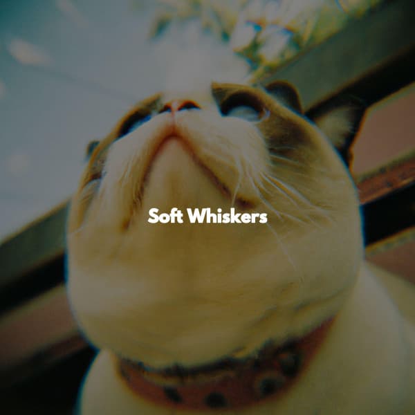 Soft Whiskers - Coffeehouse Music