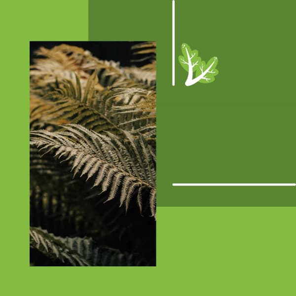 Echoes of Enjoying Nature - Smooth Jazz Bar Lounge Session