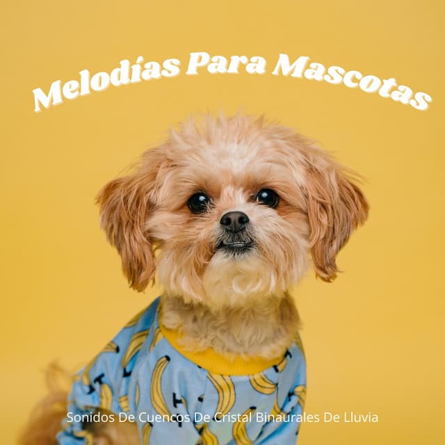 Melodías Para Mascotas: Sonidos De Cuencos De Cristal Binaurales De Lluvia - Binaural late puro