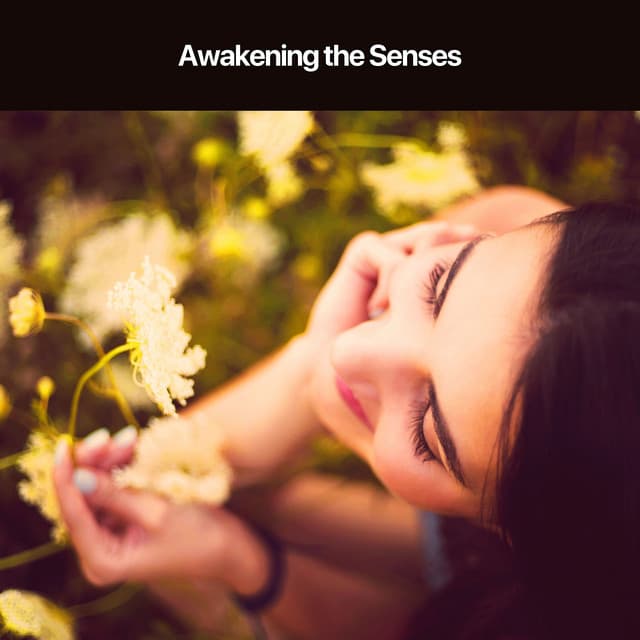 Awakening the Senses - Collection Spa