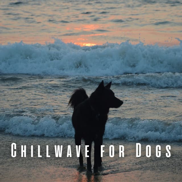 Chillwave for Dogs: Chill Sounds for Tranquil Doggy Moments - Waves of Atlantic