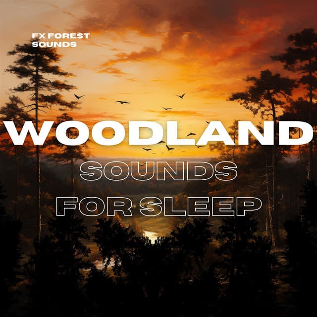 Woodland Sounds for Sleep - FX Forest Sounds