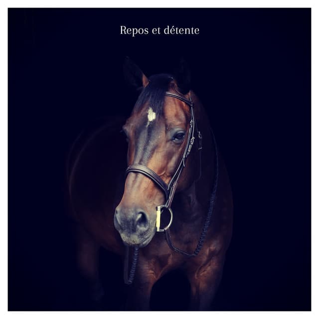 Musique Japonaise Ensemble