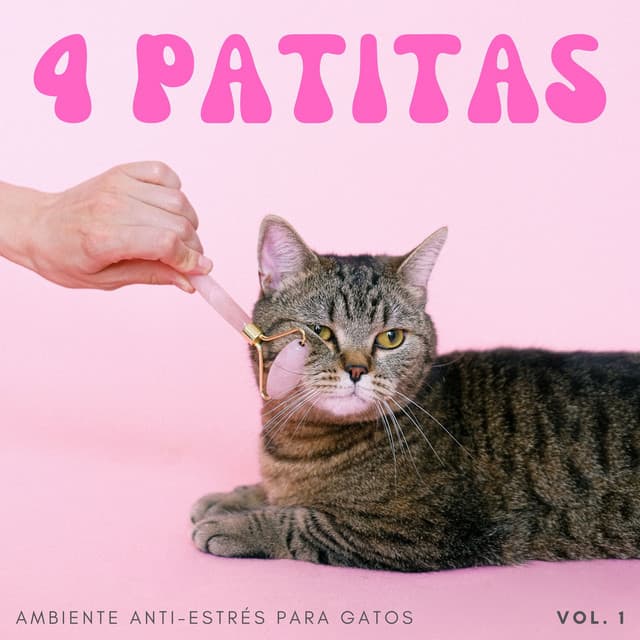 4 Patitas: Ambiente Anti-Estrés Para Gatos Vol. 1 - Música Para Aliviar El Estrés