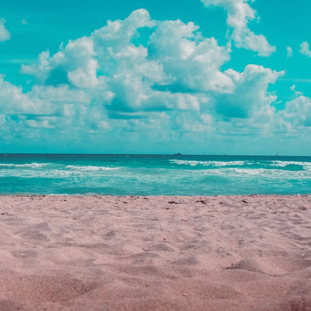 1 Coastal Night: Tidal Rest - Seascapers