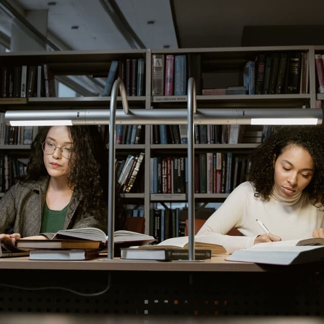 Binaural Fire Serenity: Study Mindscapes - Garden of Sound