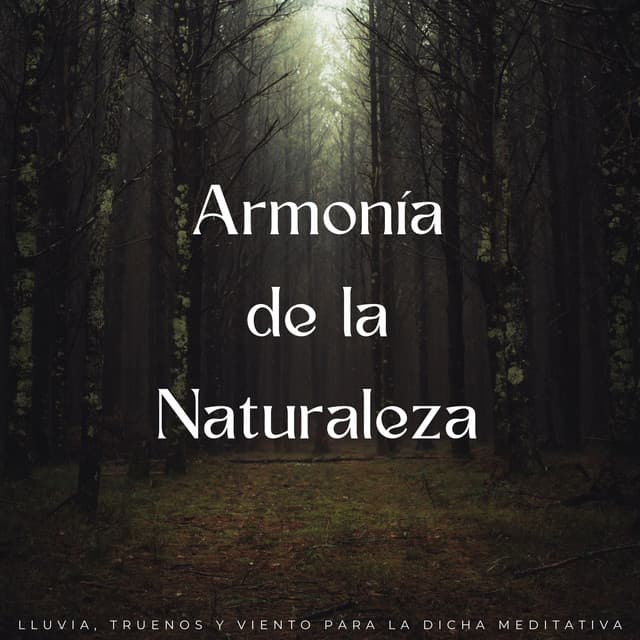Armonía De La Naturaleza: Lluvia, Truenos Y Viento Para La Dicha Meditativa - Sonidos de lluvia y truenos