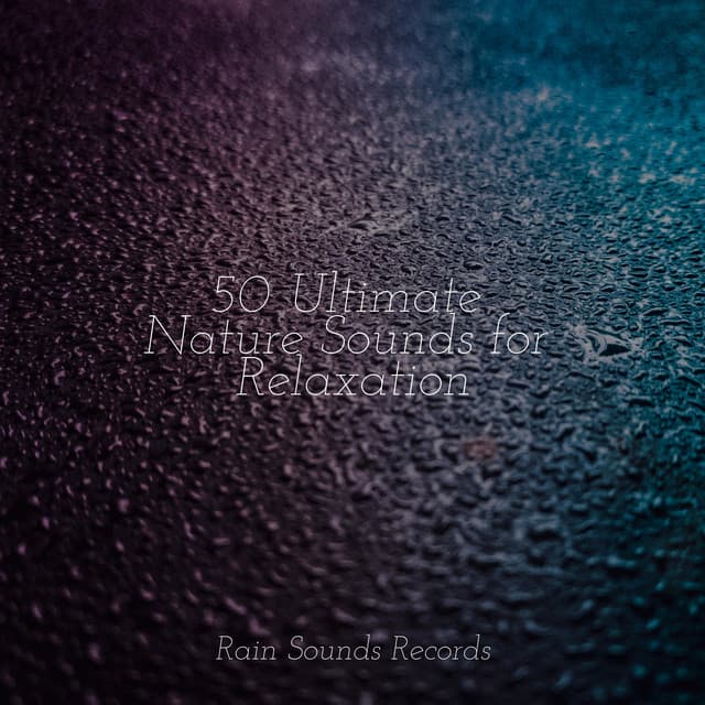 50 Ultimate Nature Sounds for Relaxation - Lullabies for Deep Meditation