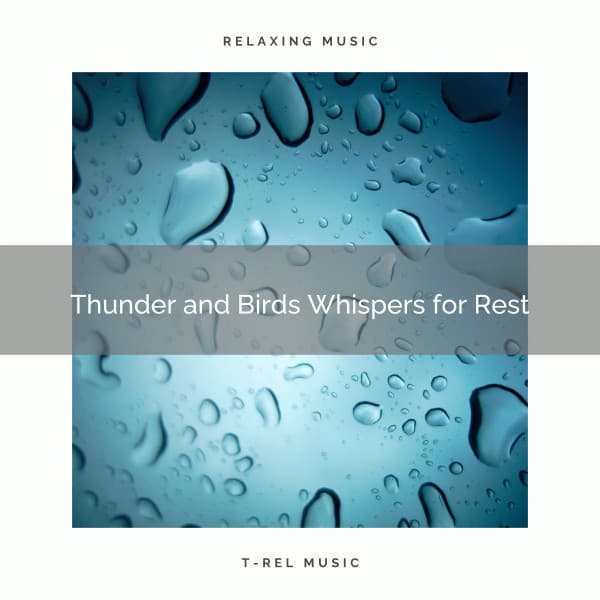 Thunder and Birds Whispers for Rest - Relax Rain