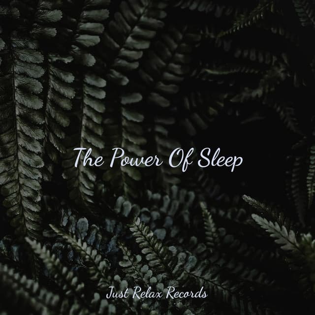 The Power Of Sleep - Calm Music for Studying