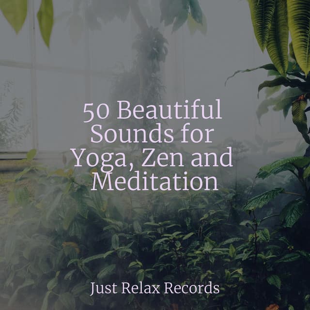 50 Beautiful Sounds for Yoga, Zen and Meditation - Chakra Balancing Sound Therapy