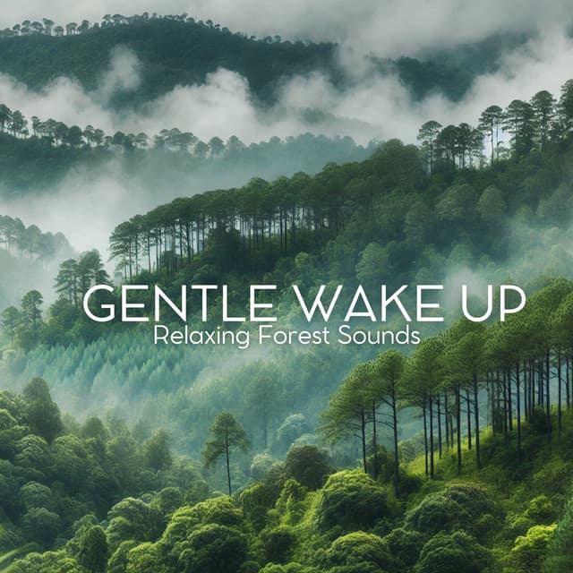 Gentle Wake Up: Relaxing Forest Sounds - Relaxation Music Guru