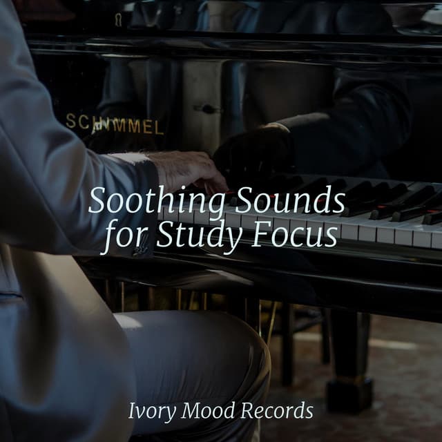 Soothing Sounds for Study Focus - Chakra Balancing Sound Therapy
