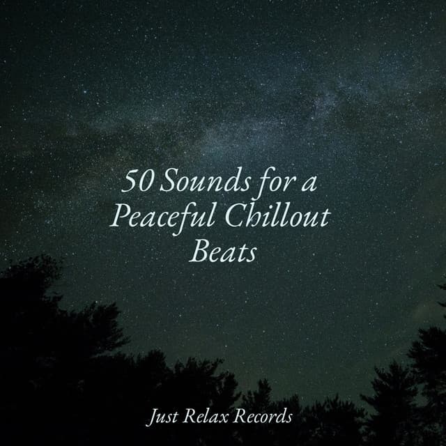 50 Sounds for a Peaceful Chillout Beats - Happy Baby Lullaby Collection