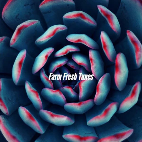 Farm Fresh Tunes - Calm Dinner Music