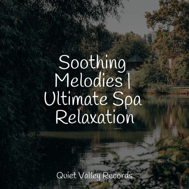Soothing Melodies | Ultimate Spa Relaxation - Relajantes sonidos de lluvia