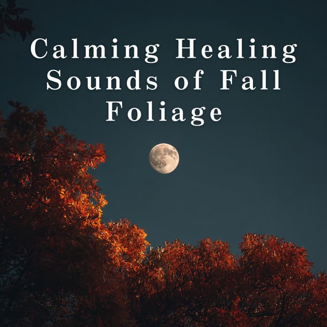 Calming Healing Sounds of Fall Foliage - Relaxing BGM Project