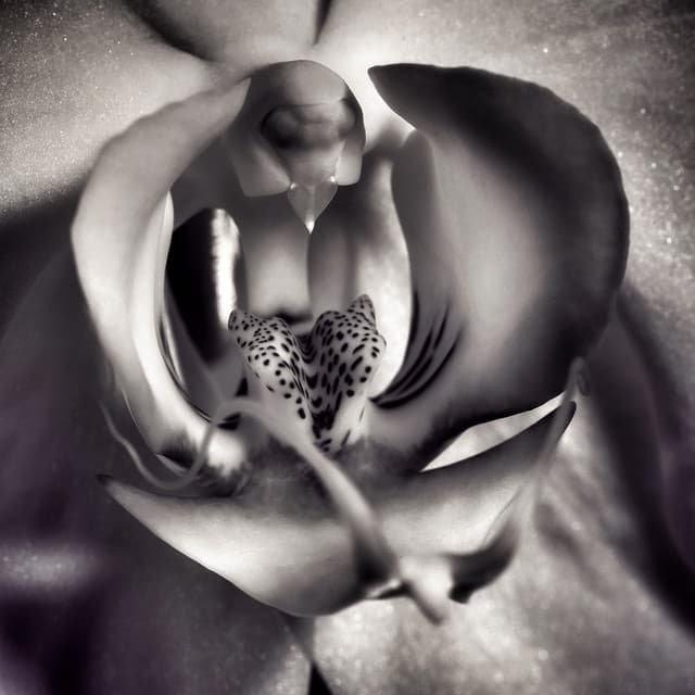 The Art of Surrender, Soft Tantra - Tantra Healing Paradise